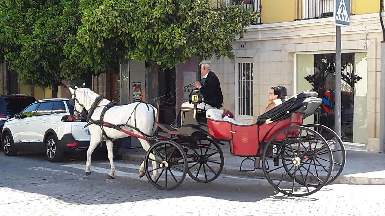 Apartment Sherryflat Fate Jerez de la Frontera